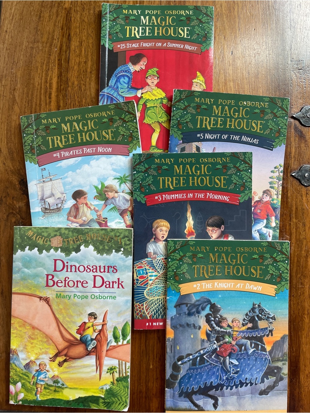 Mary Pope Osborne Magic Tree House Kids Book Set of 6 - Gently used